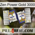 Zen Power Gold 3000 12